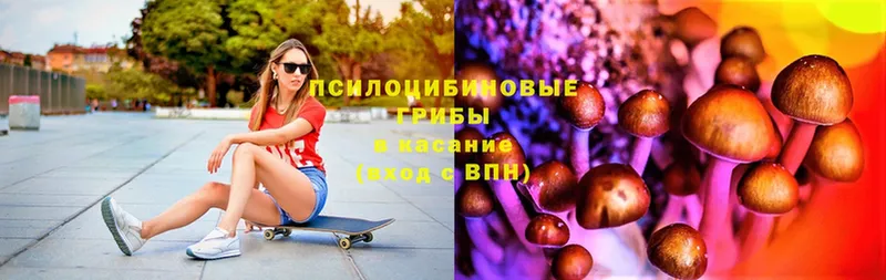 Галлюциногенные грибы Magic Shrooms  Вышний Волочёк 